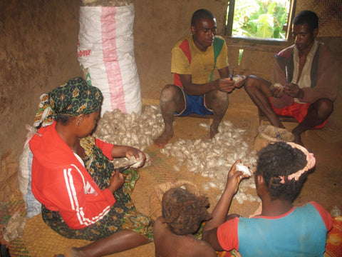 sorting cocoons