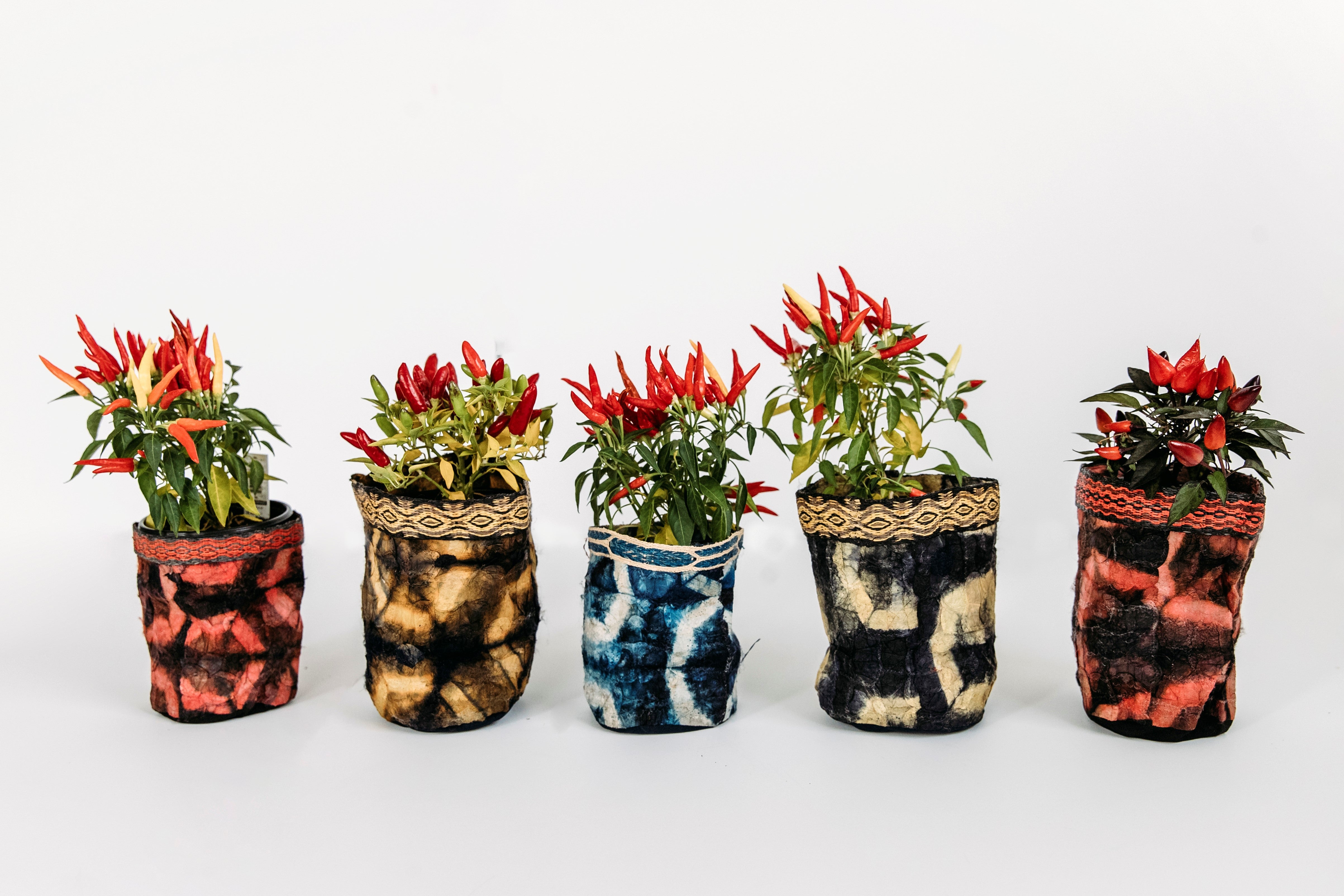 wild silk baskets from madagascar