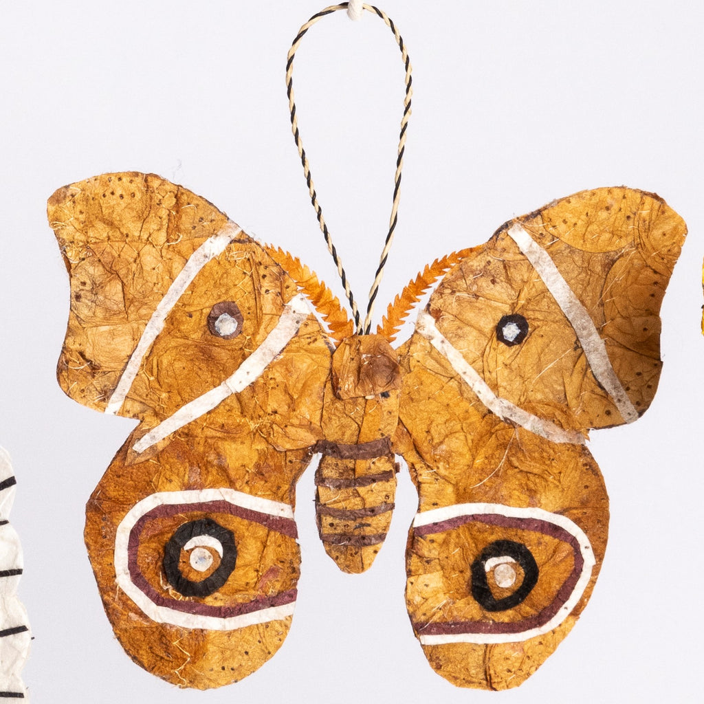 DIY DECORATION MURAL - Papillon-Comète de Madagascar Rose - Animaux Speciaux