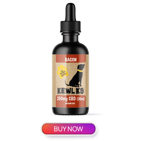 CBD oil for dogs that you can give to your pet right from the bottle or put it in your pets food