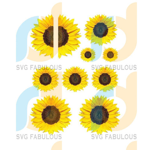 Free Free 203 Half Sunflower Half Weed Svg SVG PNG EPS DXF File