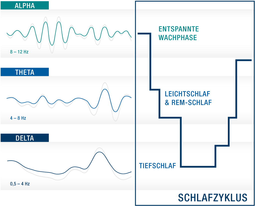 Schlafmagazin Theta- und Delta-Gehirnwellen in verschiedenen Schlafphasen in der Nacht