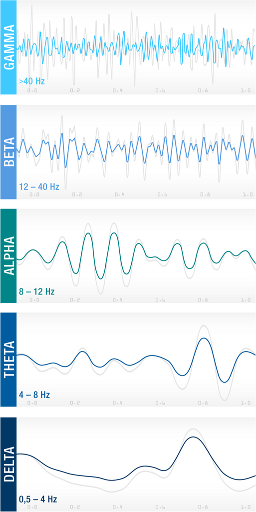 Schlafmagazin Gehirnwellen Arten Frequenz