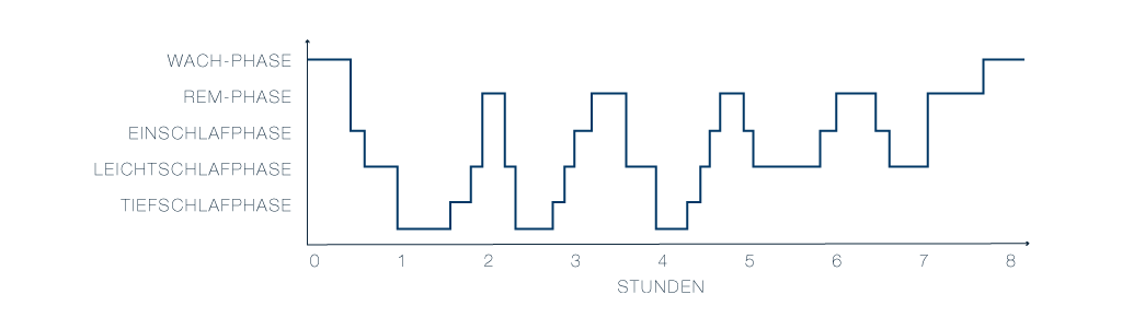 Schlafmagazin: Durchschlafprobleme, Hypnogramm, Schlafphasen