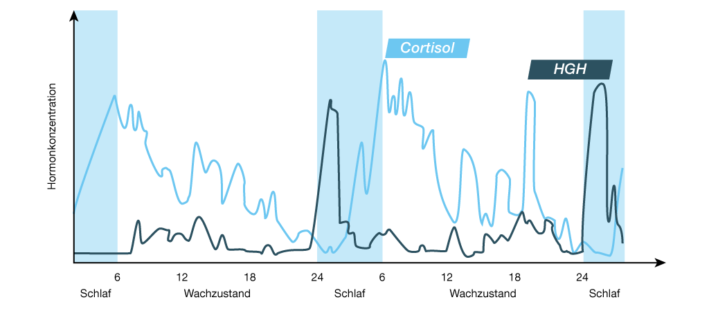 Hormone im Schlaf: Cortisol und Wachstumshormone (HGH) im Schlaf