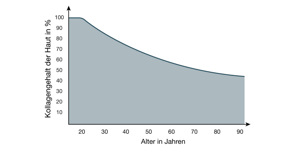 Kollagengehalt der Haut in % über die Lebensjahre