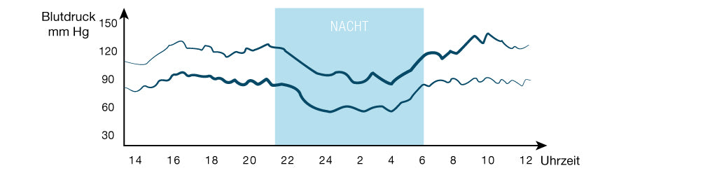 Herz-Kreislaufsystem im Schlaf: Herzaktivität, Blutdruck 