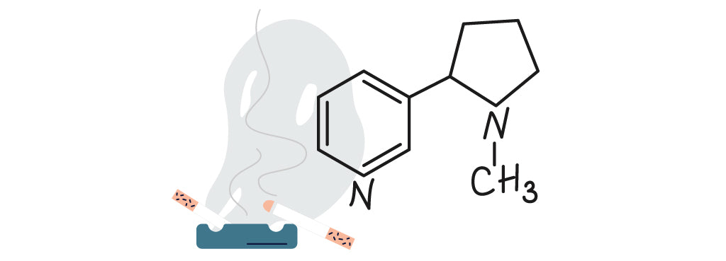 smartsleep Schlafmagazin: Struktur des Nervengifts Nikotin