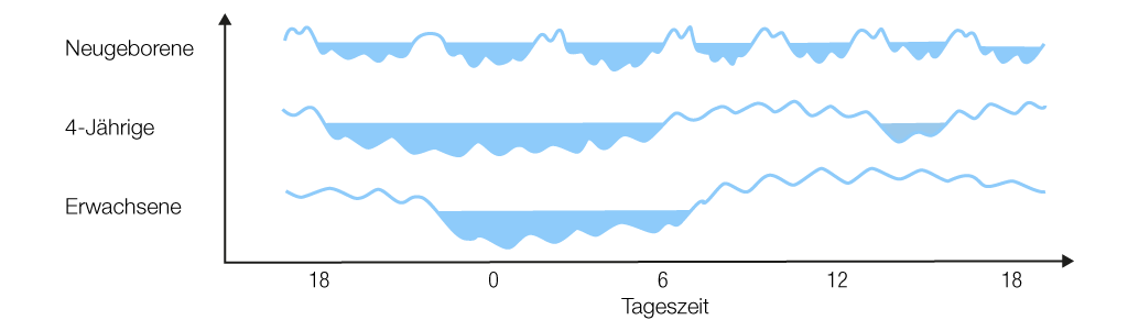 Entwicklung der Schlafzeiten von Babys, Kleinkindern und Erwachsenen über den Tag