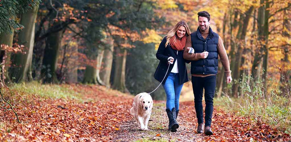 Immunsystem im Schlaf: Junges Paar mit Hund spaziert aktiv im Herbstwald