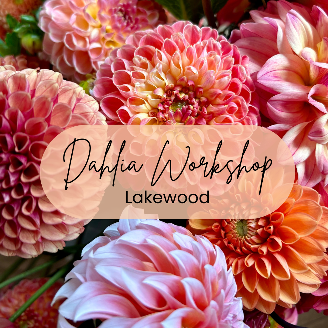 Dahlia Workshop - September 27
