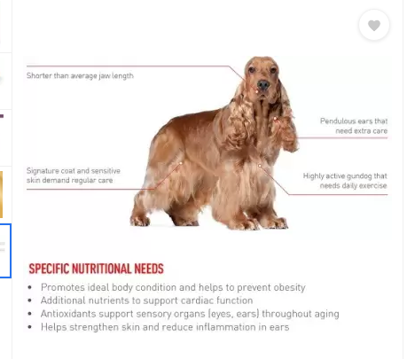 royal canin cocker spaniel junior