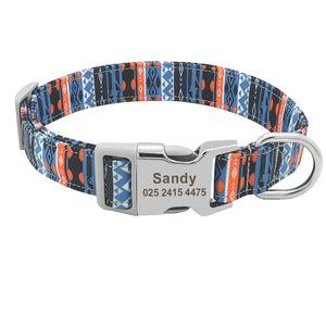 the best dog collars