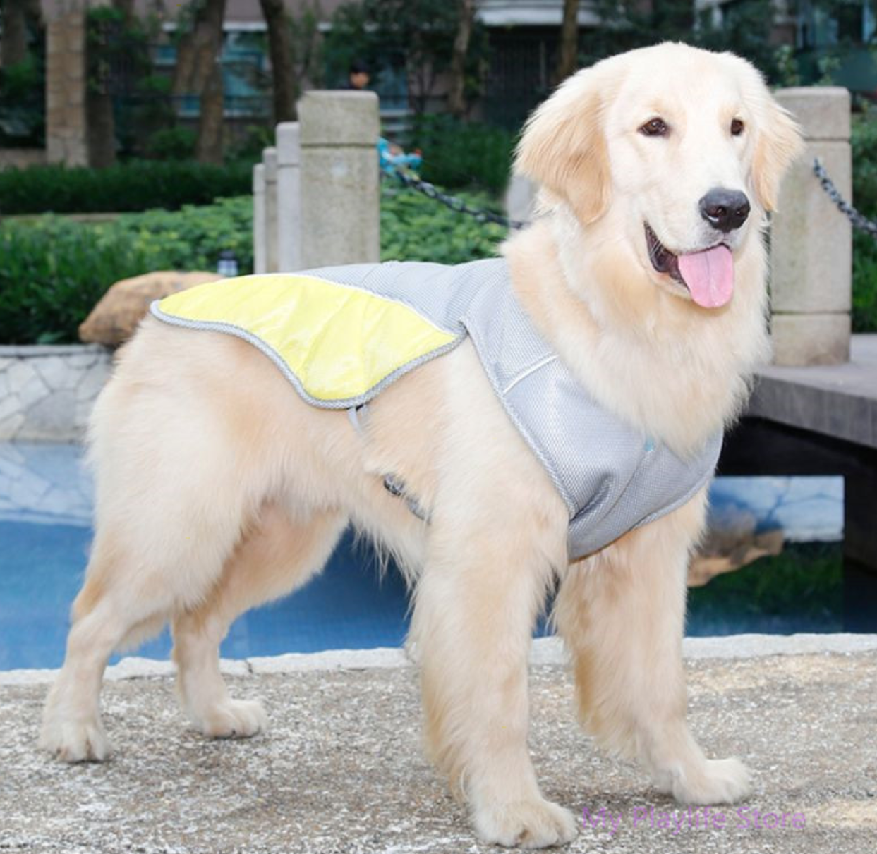 dog cooling vest