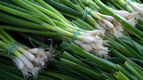 Stacks of fresh green spring onions and scallions grown at home easily