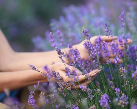 Aromatherapy for Well-being and Eco-Consciousness