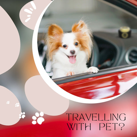 travelling-with-pet-made-more-awesome-involve-car-perfume
