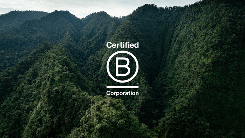 B Corp logo on forest background