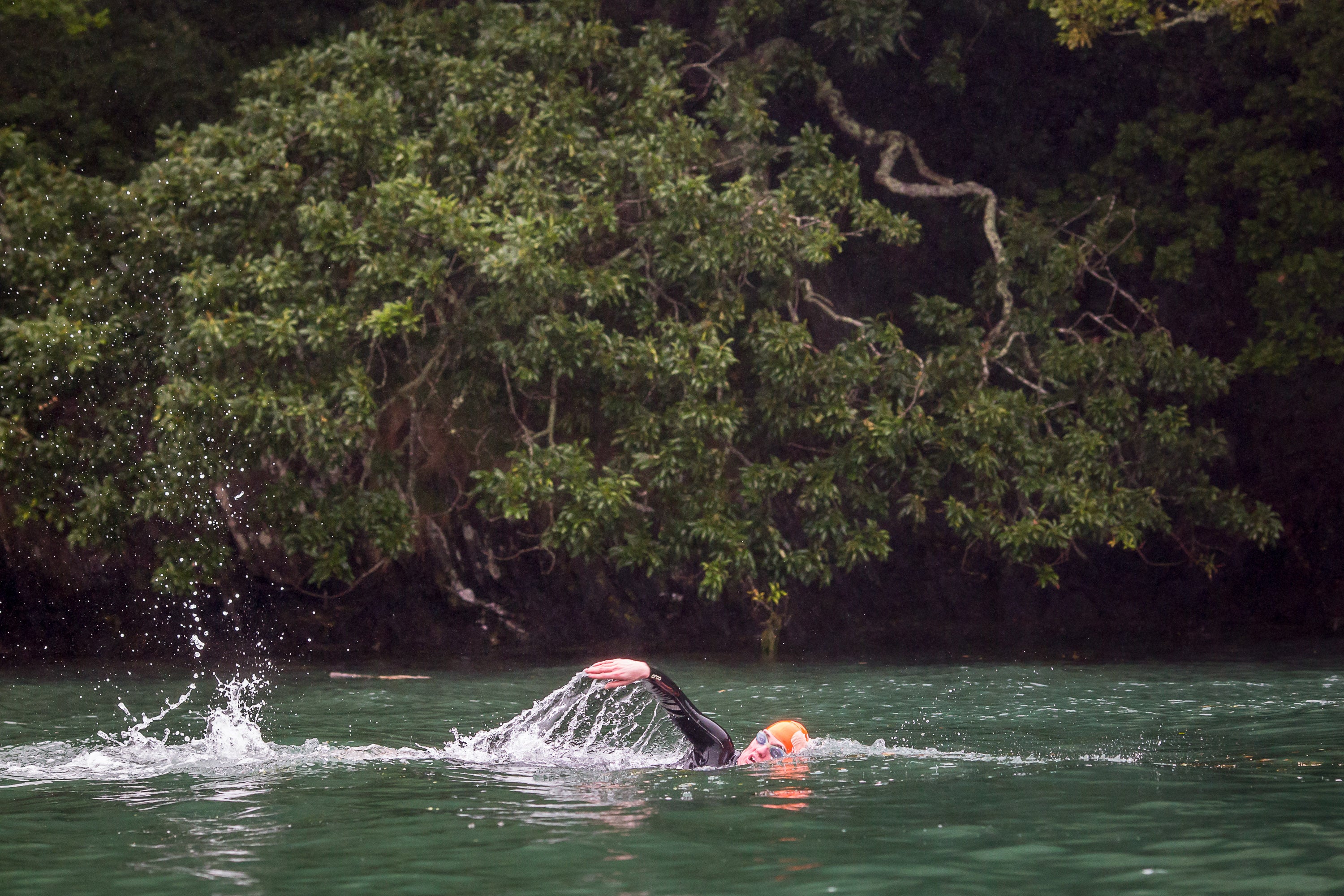 Swimming in the estuary