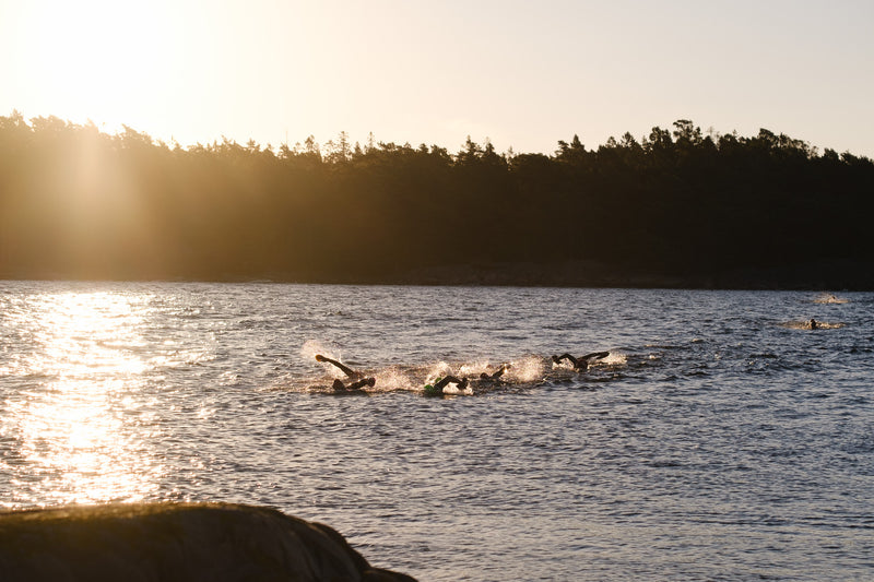 Racers swimming between islands at sunrise