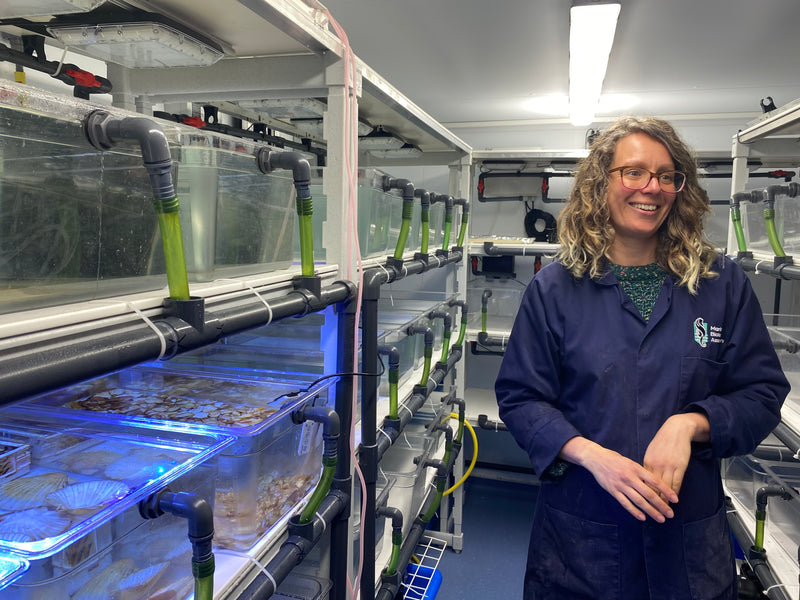 A woman stood next to boxes where there is kelp restoration