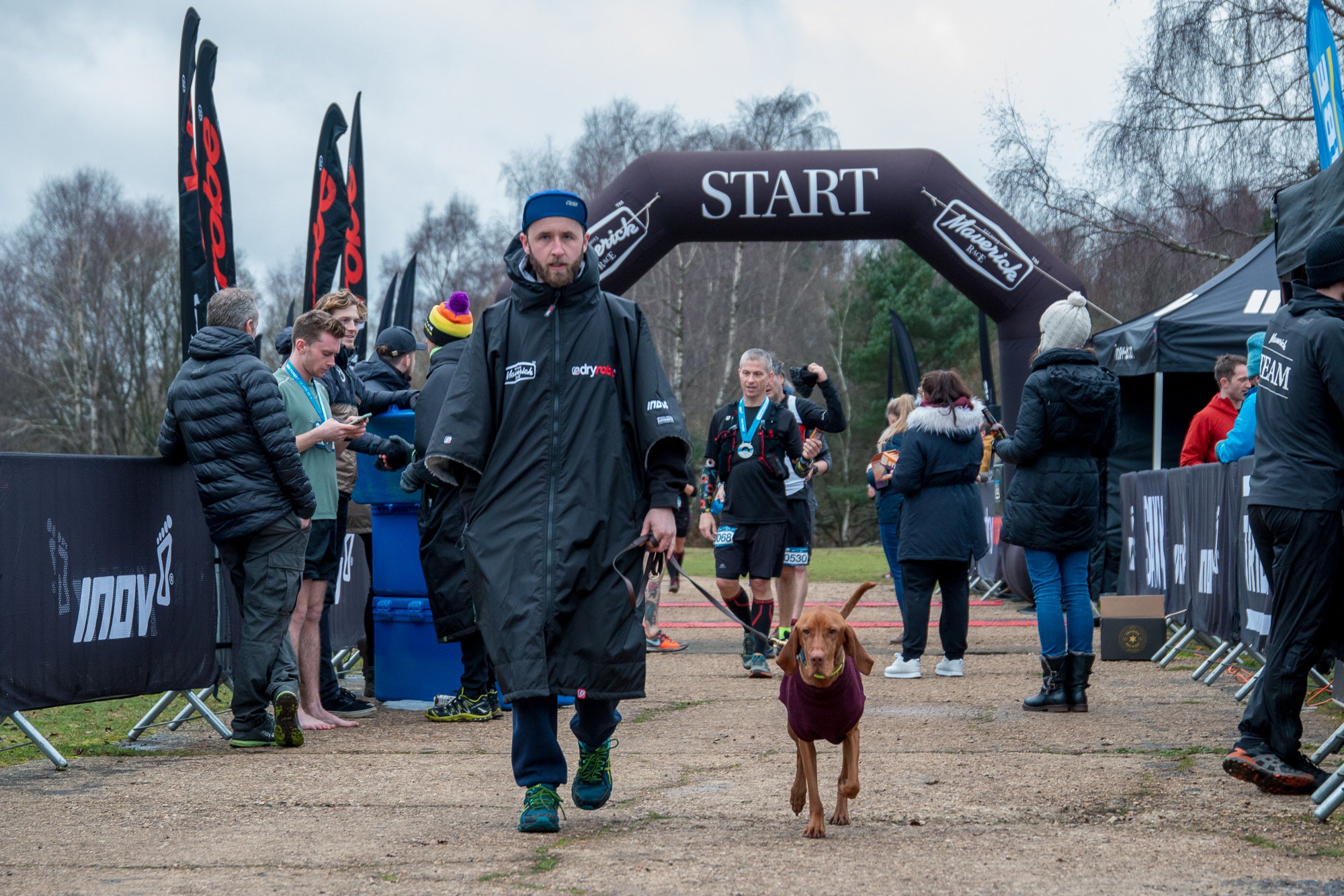 Dog competing in trail running event. Maverick Race, New Forest January 2019