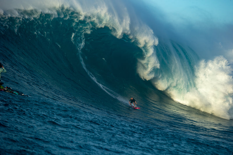 Izzi Gomez at Jaws