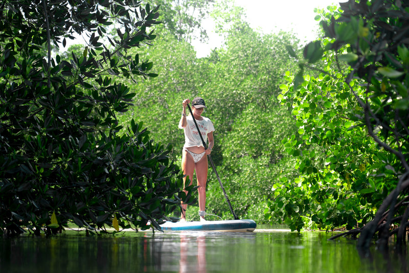Women stand up paddleboarding on a river surrounded by green mangrove trees