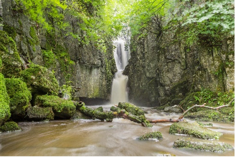 Castrigg Force