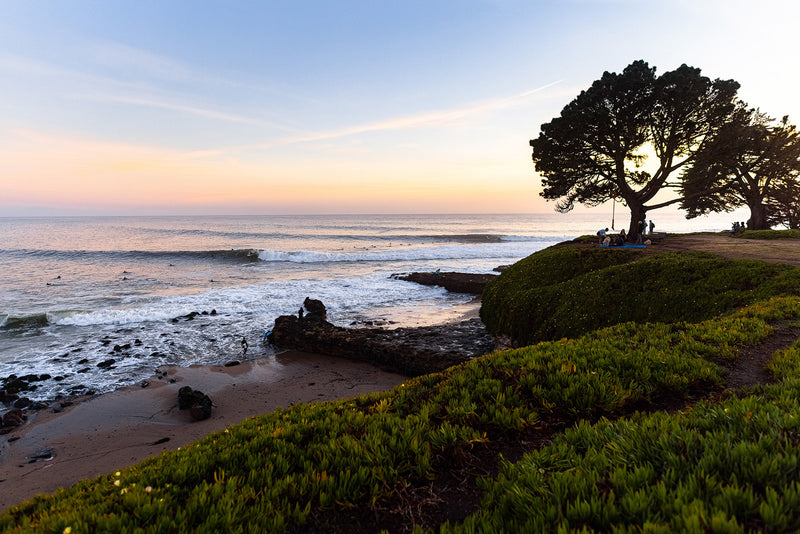 Mitchells Cove, Santa Cruz California. Image Couresy of @chachfiles