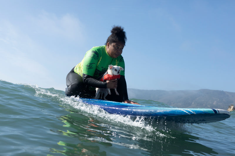 A surfer catching a wave with a dog on the surfboard