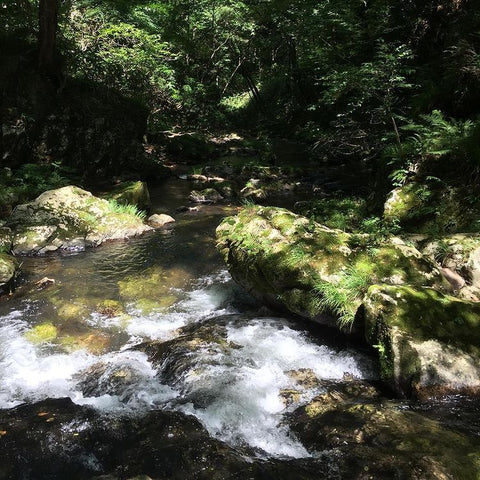 shinjo village water