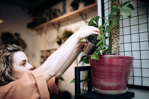 Watering Plants over Winter