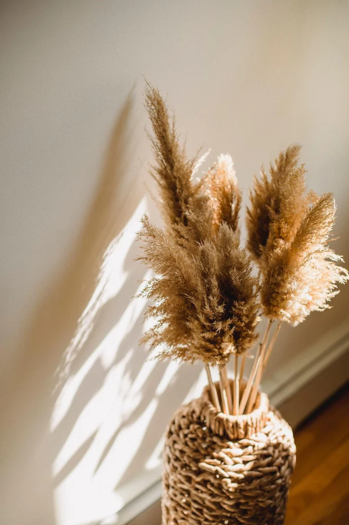 Dried plants in a woven vase on the floor, casting shadows on the wall