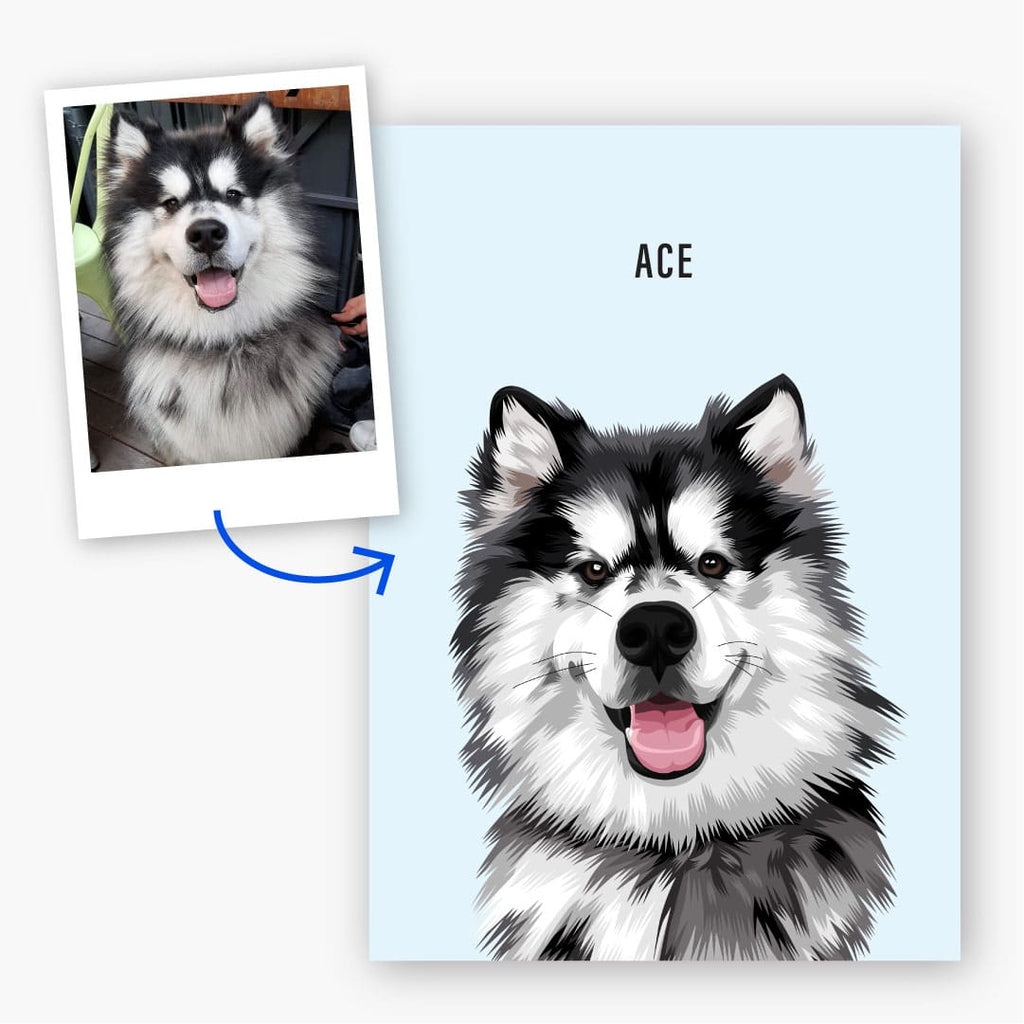 pet portrait before and after