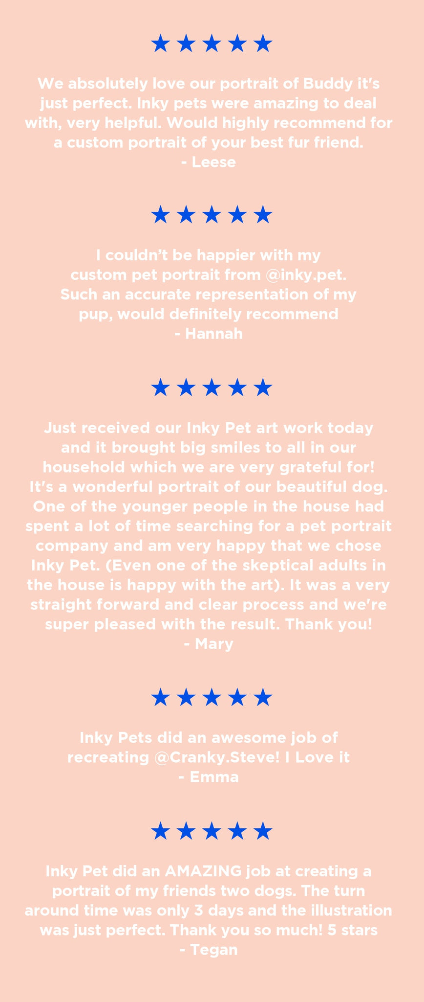 pet portrait reviews