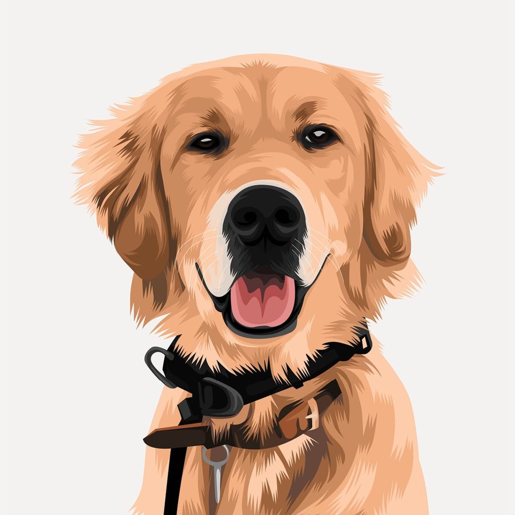 golden retriever