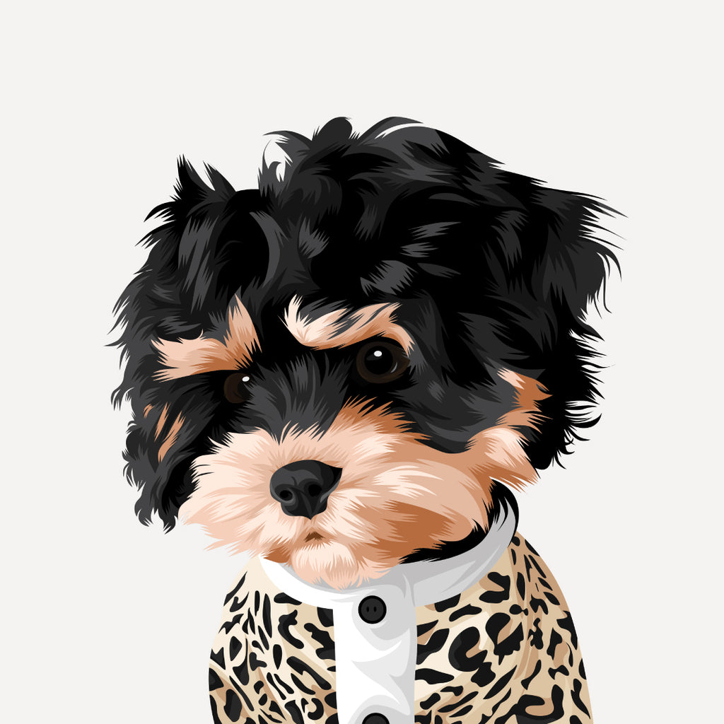 cavoodle pet portrait