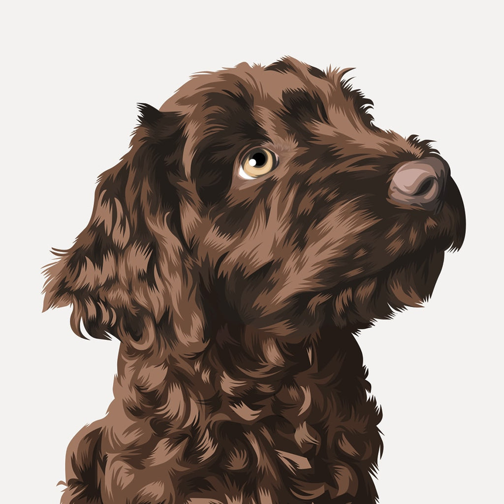 pet potrait labradoodle