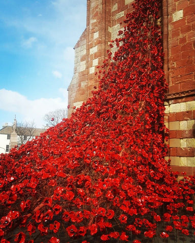 Weeping Window ceramic poppy installation first shown at the Tower of London
