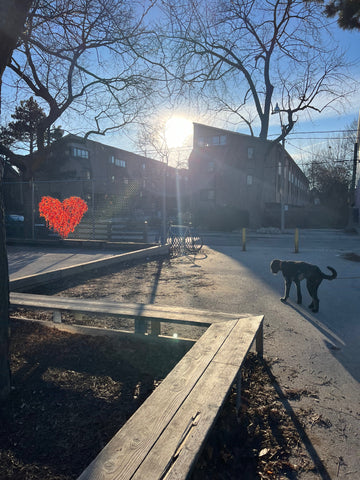 glowing heart on a fence, black dog in a park