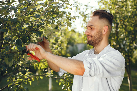The Art of Pruning: A Guide to Different Techniques for a Healthy Garden | Blog | Delightful Yard