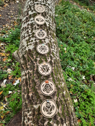 Tree trunk with our wooden chakra symbols on it.