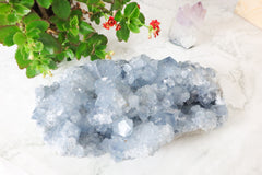 Extra Large Celestite Druzy Crystal