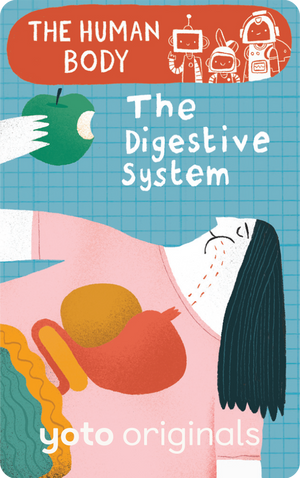 The Human Body: The Digestive System. Yoto
