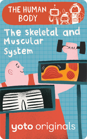 The Human Body: The Skeletal and Muscular Systems. Yoto