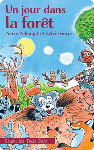 Un jour dans la forêt. Pierre Palengat; Sylvie Garin