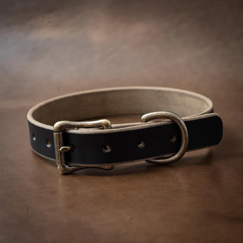 black color dog collar
