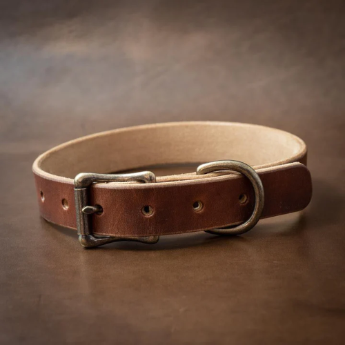 English tan dog collar 