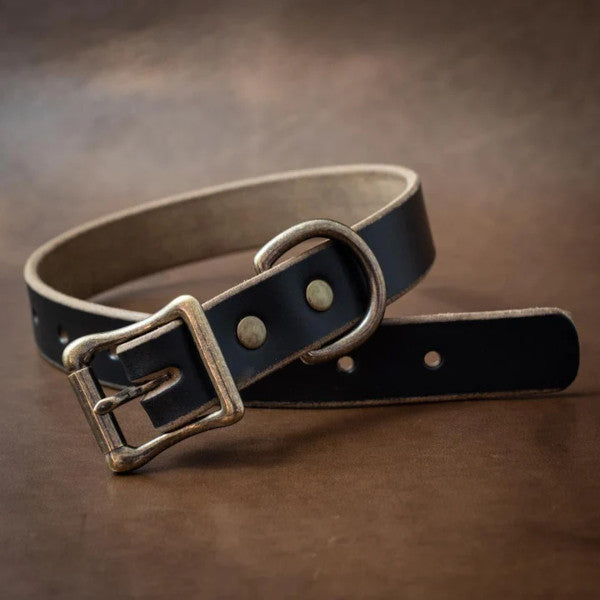 leather dog collar